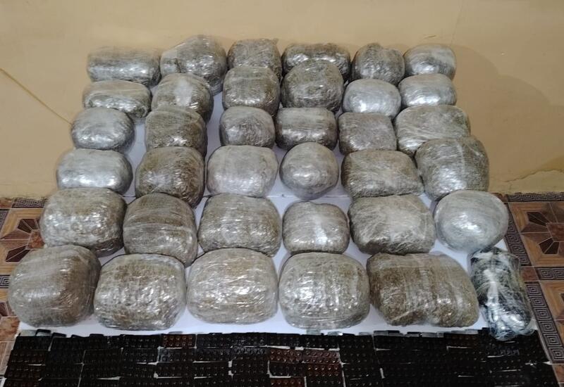 İlk 9 ayda narkotiklə bağlı 6516 cinayət faktı aşkarlanıb