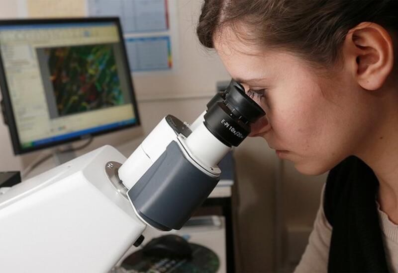 Открыт эффективный метод лечения устойчивой формы рака