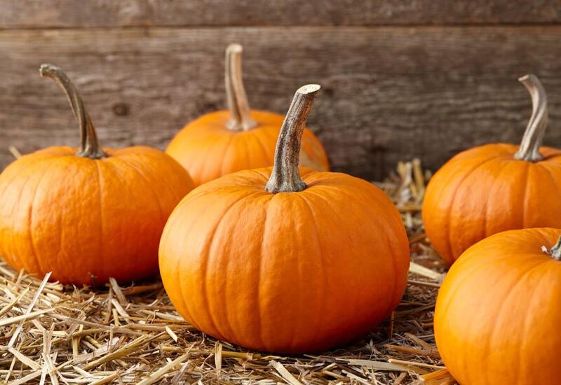 Названа неочевидная опасность тыквы