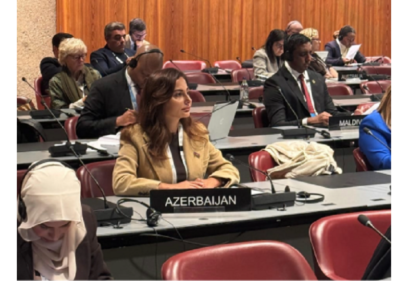 Əminə Ağazadə Parlamentlərarası İttifaqın komitə iclasında çıxış edib