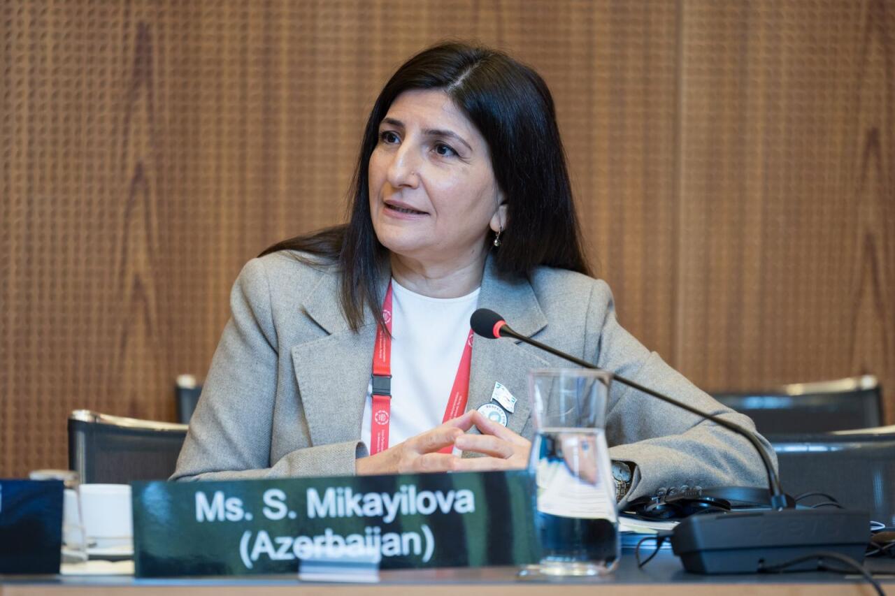 Azərbaycan parlament nümayəndə heyətinin üzvləri 151-ci Assambleya çərçivəsində keçirilən müzakirələrdə çıxış ediblər