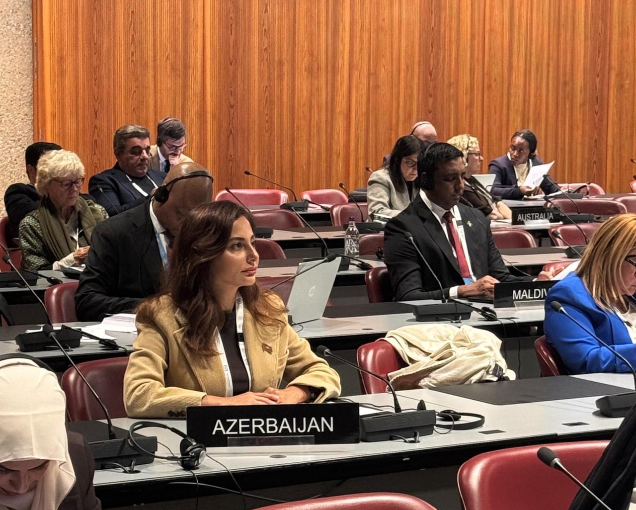 Azərbaycan parlament nümayəndə heyətinin üzvləri 151-ci Assambleya çərçivəsində keçirilən müzakirələrdə çıxış ediblər