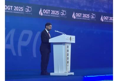 Азербайджан и Туркменистан готовы внести вклад в глобальный энергопереход - Ровшан Наджаф