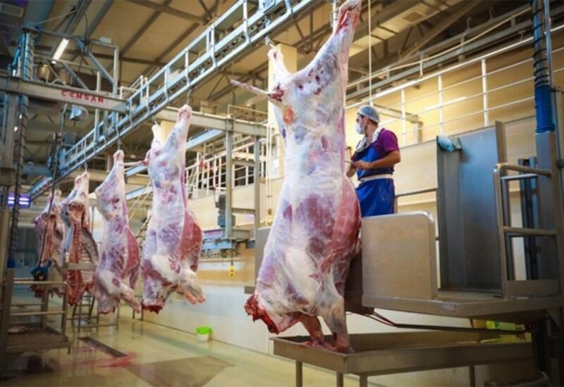 AQTA inzibati tədbir görülən ət kəsimi və satış mağazalarının sayını açıqlayıb