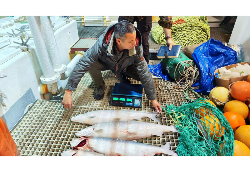 Xəzər dənizində və daxili sularda balıq ehtiyatlarının qiymətləndirilməsi ekspedisiyası yekunlaşıb