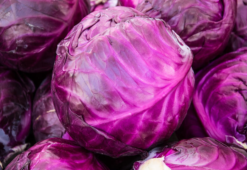 Названы три главных полезных свойства красной капусты