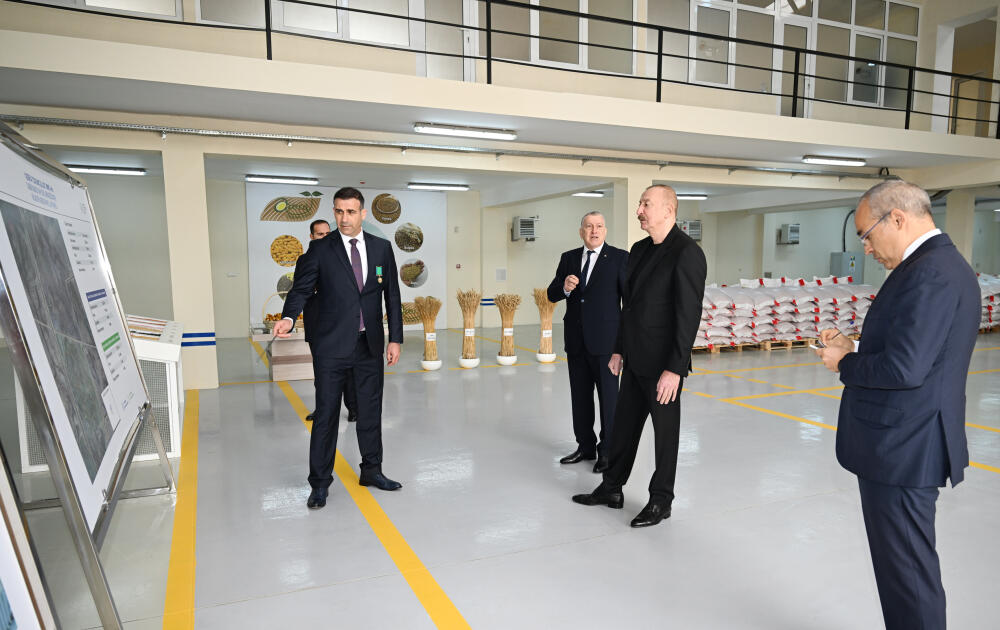 Prezidenti İlham Əliyev Sabirabad Sənaye Məhəlləsində toxum istehsalı müəssisəsinin fəaliyyəti ilə tanış olub