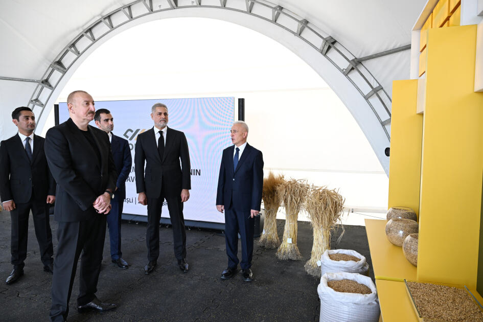 Prezident İlham Əliyev İmişlidə “Promalt” MMC-nin arpa emalı müəssisəsinin açılışında iştirak edib
