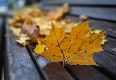 Терапевт предупредила о вреде фотосессий с осенними листьями