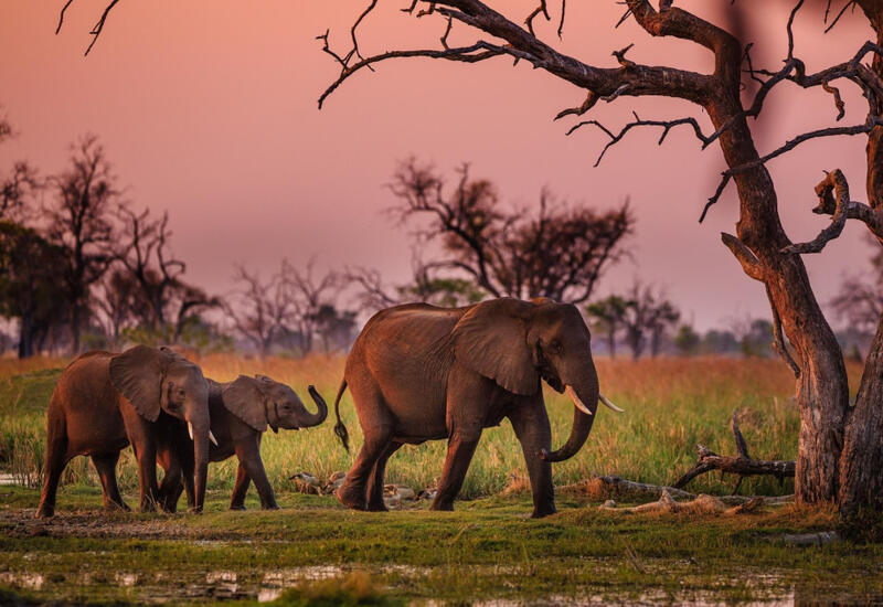 Лучшие направления для путешествий в 2026 году