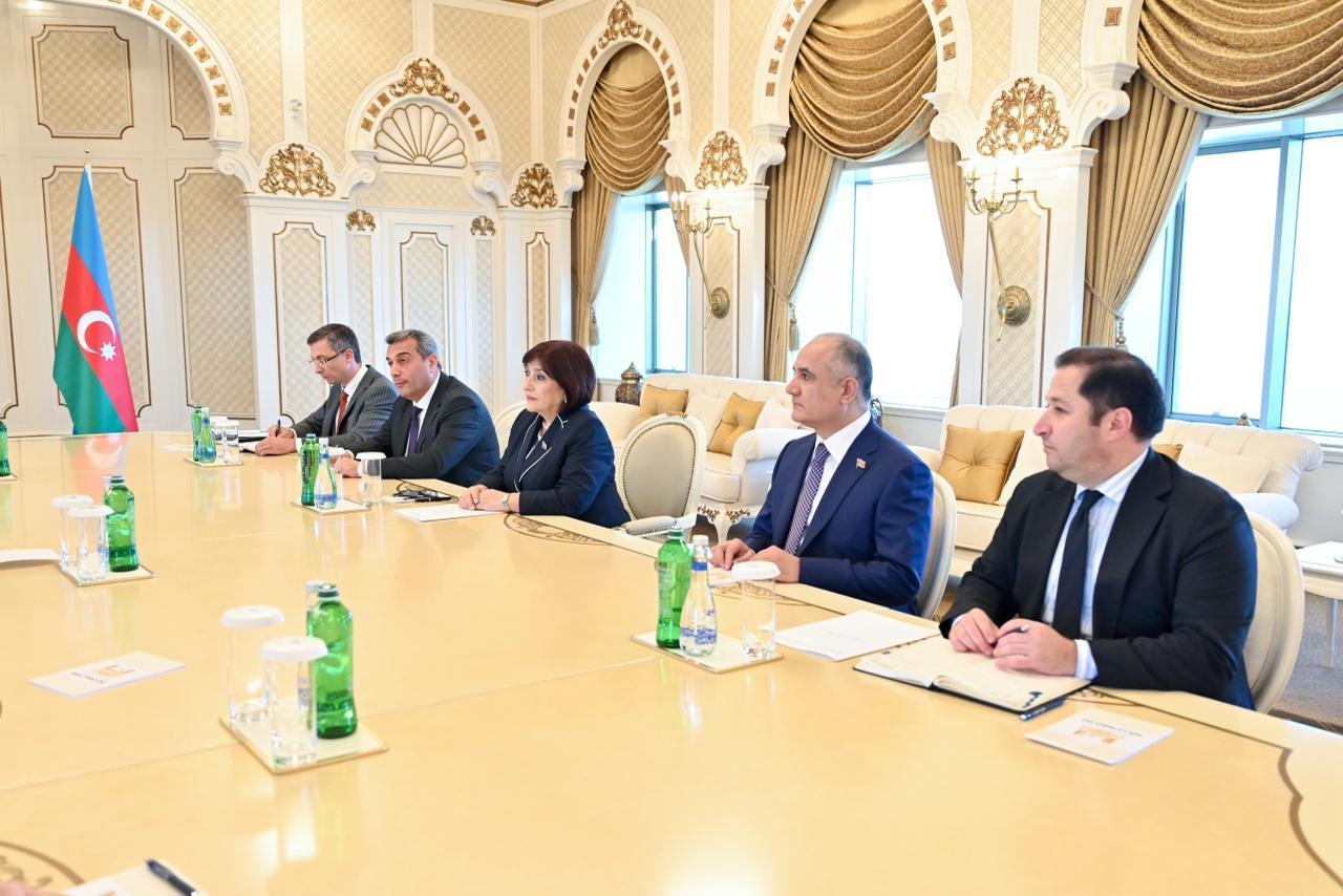 Председатель Милли Меджлиса Сахиба Гафарова встретилась с председателем Сената Пакистана