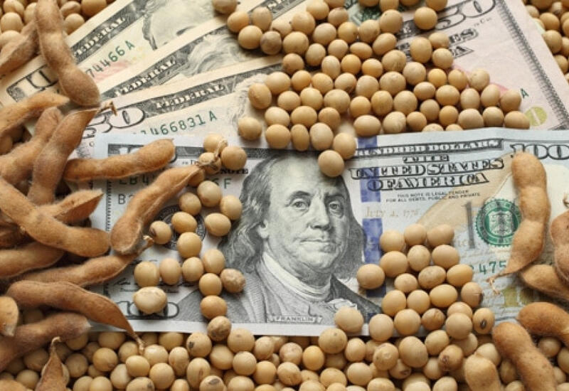 Китай возобновил закупки соевых бобов из США