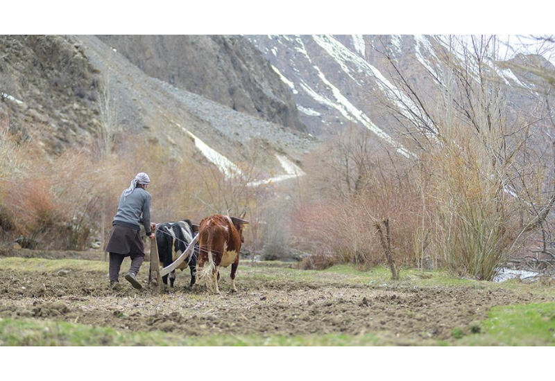 Одобрено финансирование программы АБР по адаптации к таянию ледников в Центральной Азии, Южном Кавказе и Пакистане