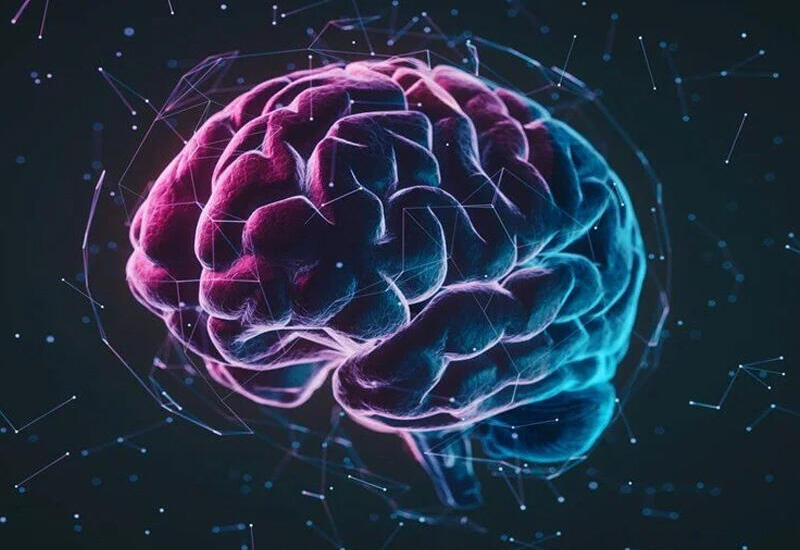 Bu yaş dövründə idman edənlərin beyni gec qocalır