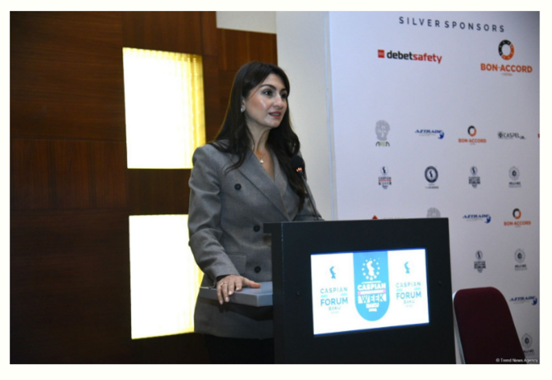 Azərbaycan qlobal dəyişikliklərə adaptasiya üzrə məqsədlərini həyata keçirir