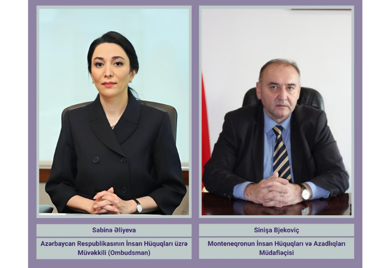 Сабина Алиева направила письмо омбудсмену Монтенегро о защите прав задержанных граждан Азербайджана