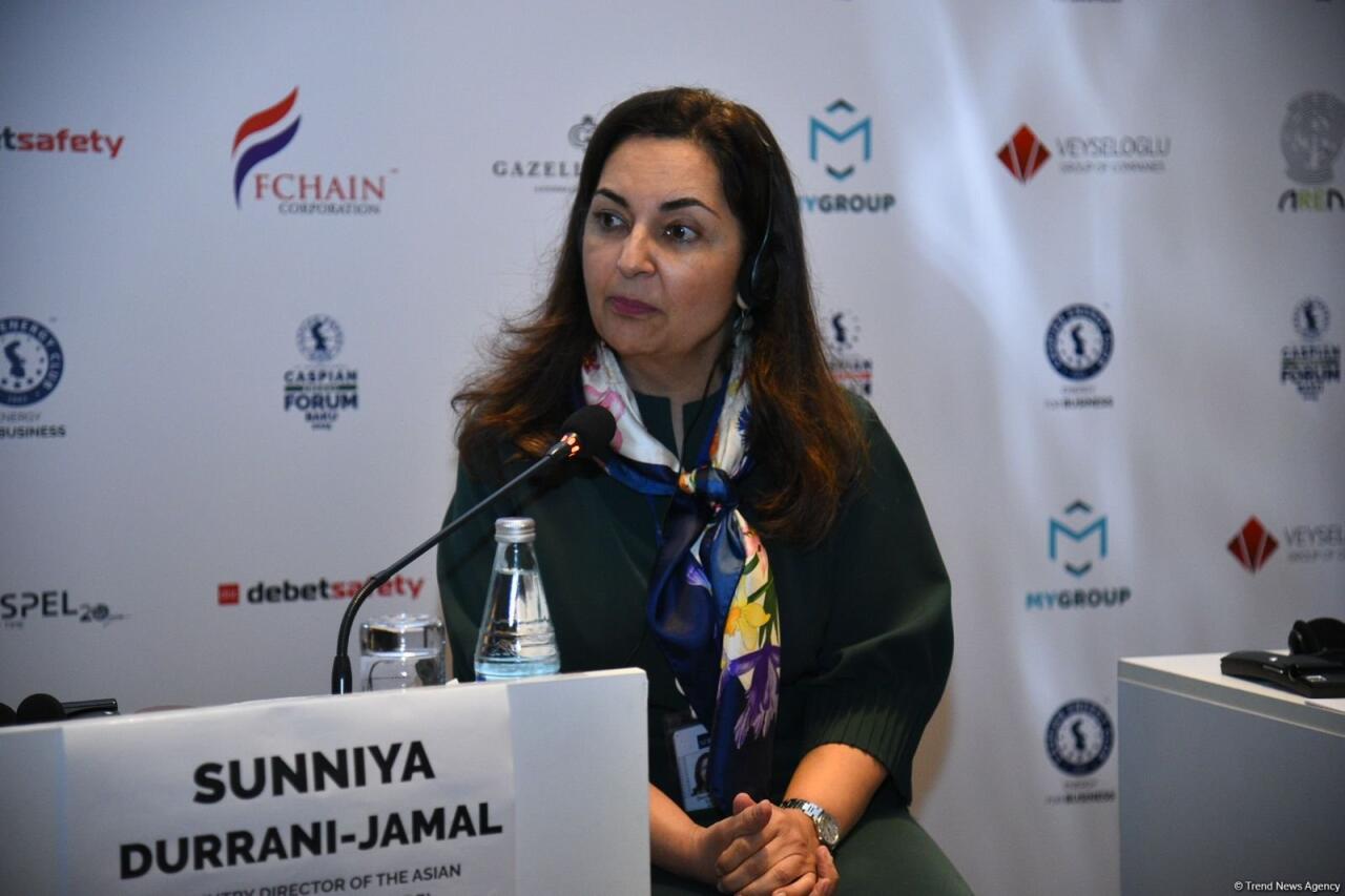 В Баку проходит 13-й Каспийский энергетический форум