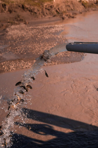 Вице-президент Фонда Гейдара Алиева Лейла Алиева и руководитель Баку Медиа Центра Арзу Алиева приняли участие в церемонии открытия Ахар-Бахарского национального парка в Гахском районе