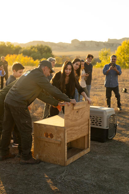 Вице-президент Фонда Гейдара Алиева Лейла Алиева и руководитель Баку Медиа Центра Арзу Алиева приняли участие в церемонии открытия Ахар-Бахарского национального парка в Гахском районе