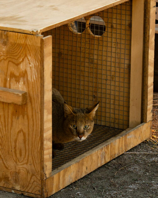 Вице-президент Фонда Гейдара Алиева Лейла Алиева и руководитель Баку Медиа Центра Арзу Алиева приняли участие в церемонии открытия Ахар-Бахарского национального парка в Гахском районе