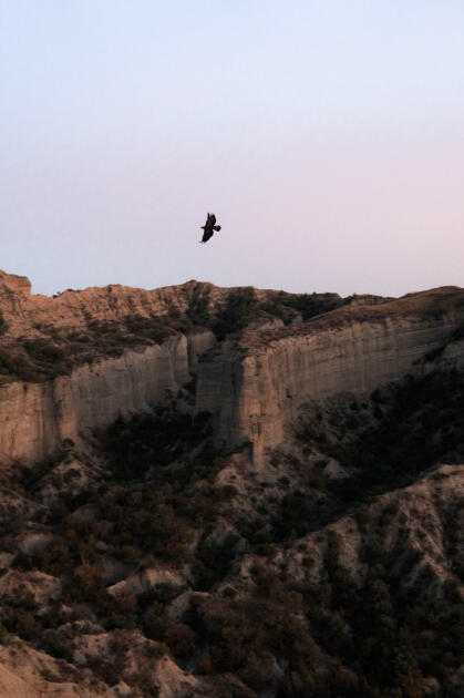 Вице-президент Фонда Гейдара Алиева Лейла Алиева и руководитель Баку Медиа Центра Арзу Алиева приняли участие в церемонии открытия Ахар-Бахарского национального парка в Гахском районе