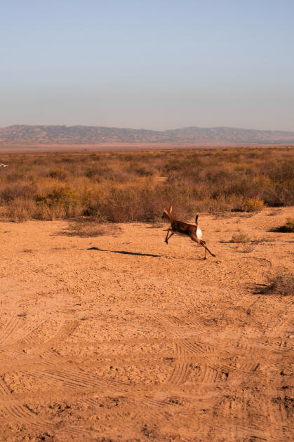 Вице-президент Фонда Гейдара Алиева Лейла Алиева и руководитель Баку Медиа Центра Арзу Алиева приняли участие в церемонии открытия Ахар-Бахарского национального парка в Гахском районе