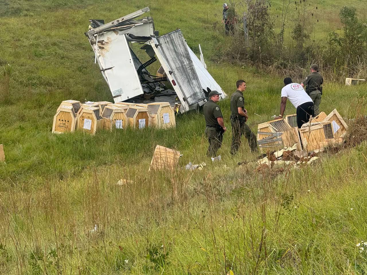 Из лаборатории в США сбежали зараженные обезьяны