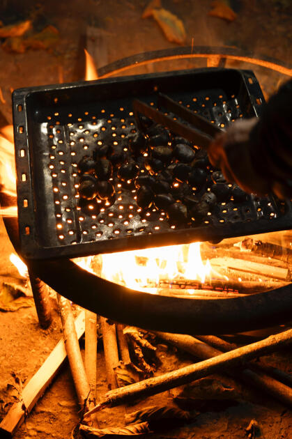 Heydər Əliyev Fondunun vitse-prezidenti Leyla Əliyeva Qəbələdə “Gənc arıçı” layihəsinin iştirakçısı ilə görüşüb