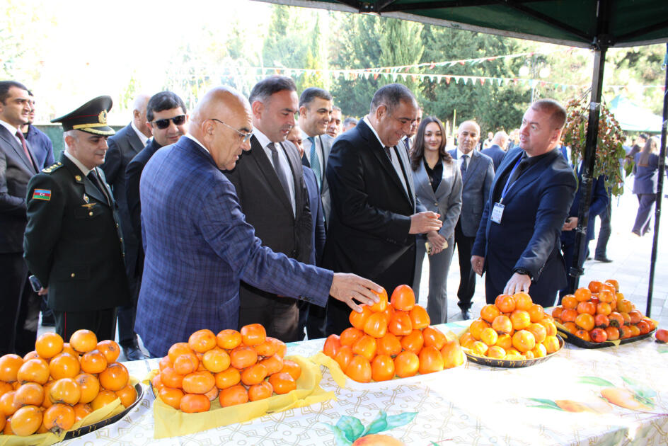 В Балакене состоялся V Фестиваль хурмы