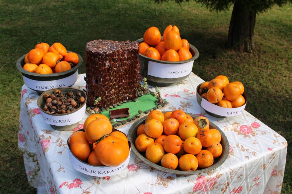 В Балакене состоялся V Фестиваль хурмы