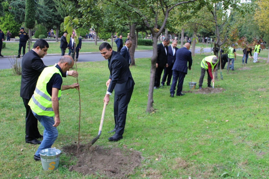 В Балакене состоялся V Фестиваль хурмы