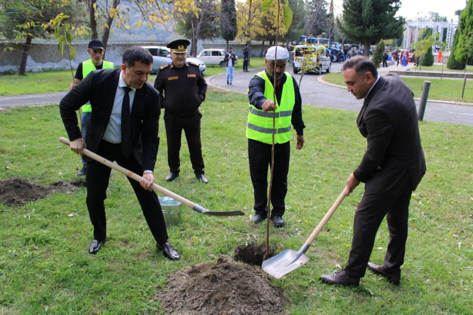 В Балакене состоялся V Фестиваль хурмы