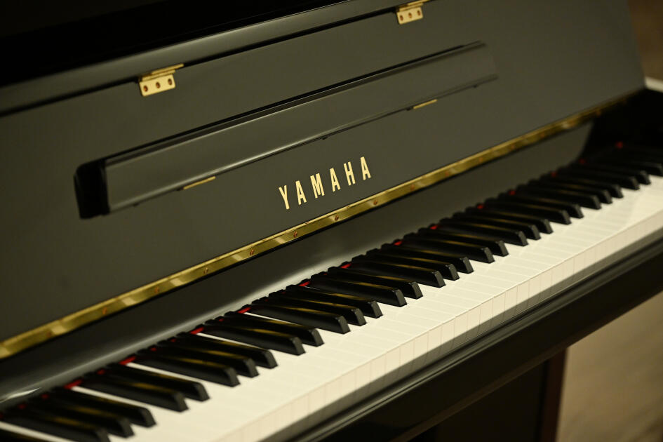 Heydər Əliyev Fondunun dəstəyi ilə alınan musiqi alətlərinin təqdimatı olub