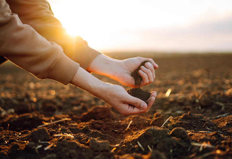 Ученые впервые обнаружили у земли память