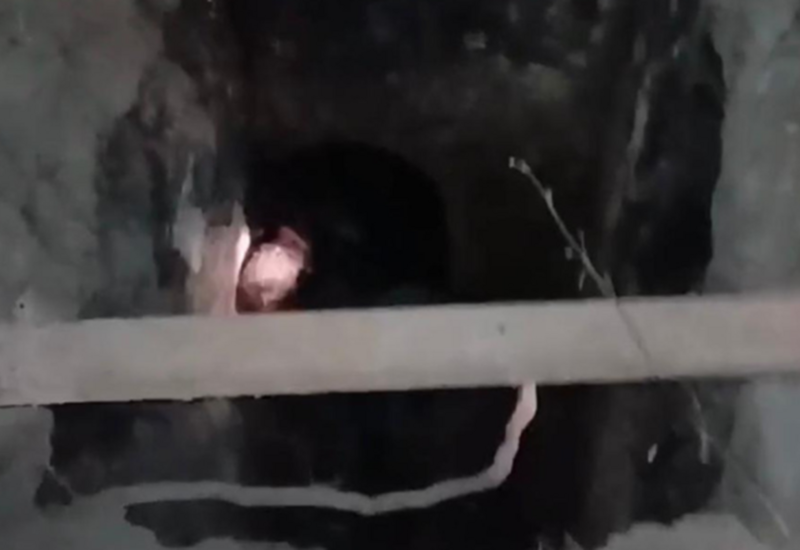 65 yaşlı kişi quyuya düşdü