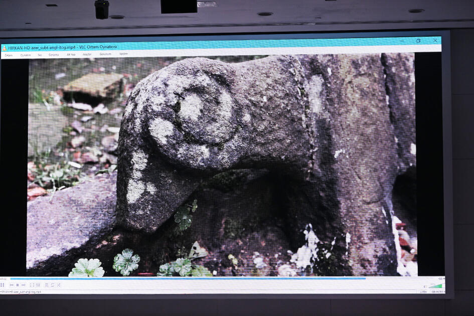 Вице-президент Фонда Гейдара Алиева Лейла Алиева приняла участие в презентации документального фильма «Гиркан»