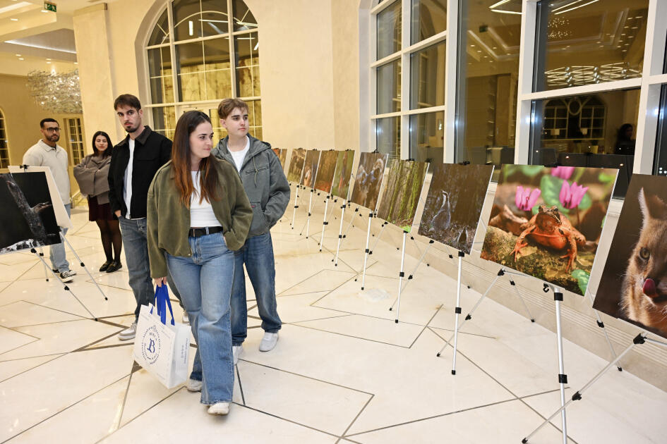 Вице-президент Фонда Гейдара Алиева Лейла Алиева приняла участие в презентации документального фильма «Гиркан»