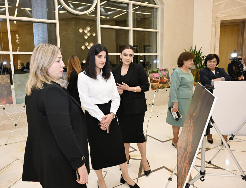 Вице-президент Фонда Гейдара Алиева Лейла Алиева приняла участие в презентации документального фильма «Гиркан»