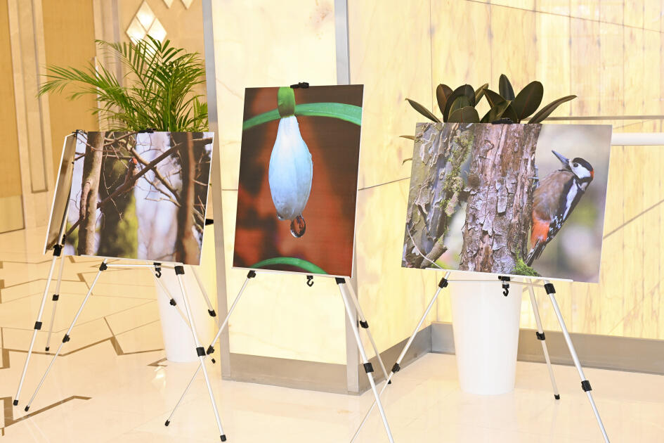 Вице-президент Фонда Гейдара Алиева Лейла Алиева приняла участие в презентации документального фильма «Гиркан»