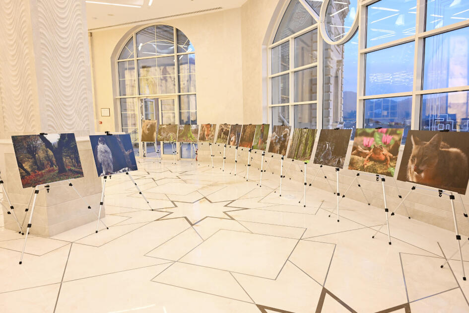 Вице-президент Фонда Гейдара Алиева Лейла Алиева приняла участие в презентации документального фильма «Гиркан»