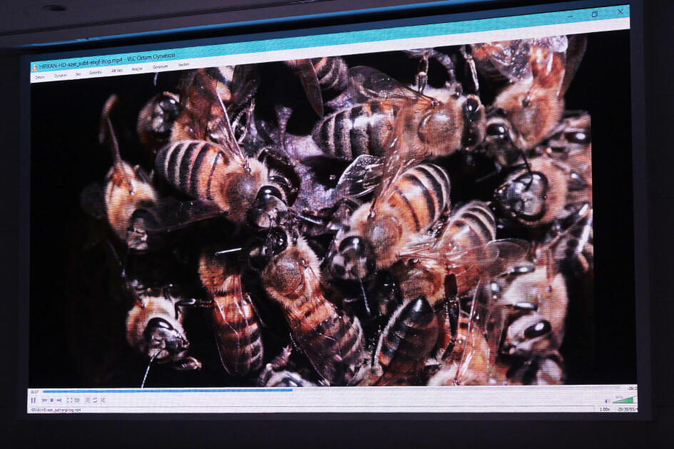 Вице-президент Фонда Гейдара Алиева Лейла Алиева приняла участие в презентации документального фильма «Гиркан»