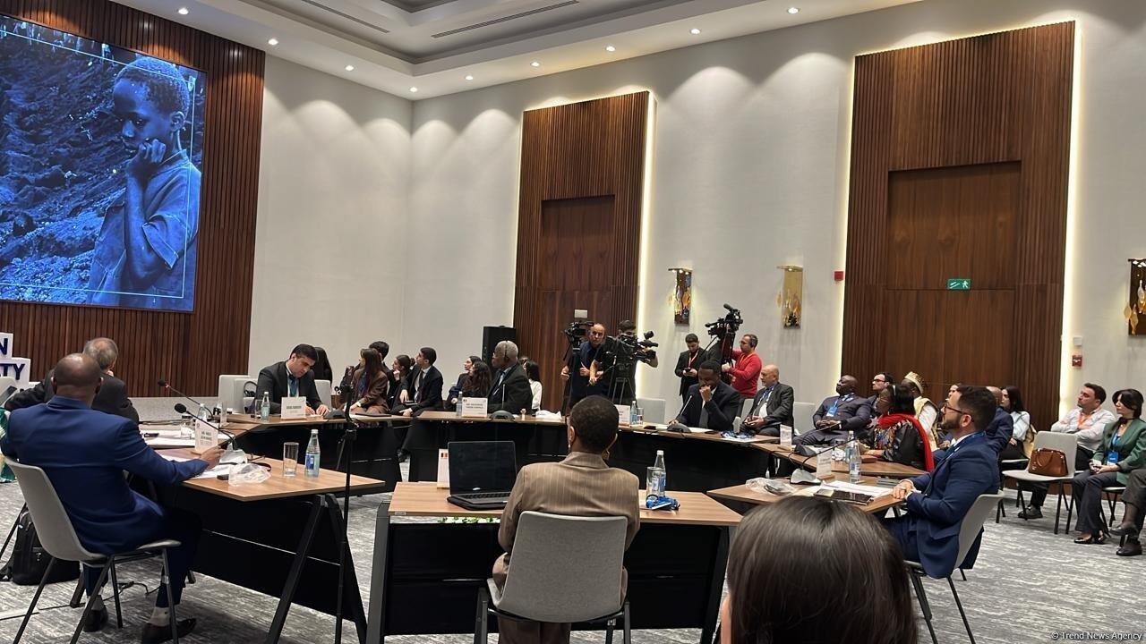 Bakıda “Belçika Müstəmləkəçiliyi: Tanınma və Məsuliyyət” adlı beynəlxalq konfrans keçirilib