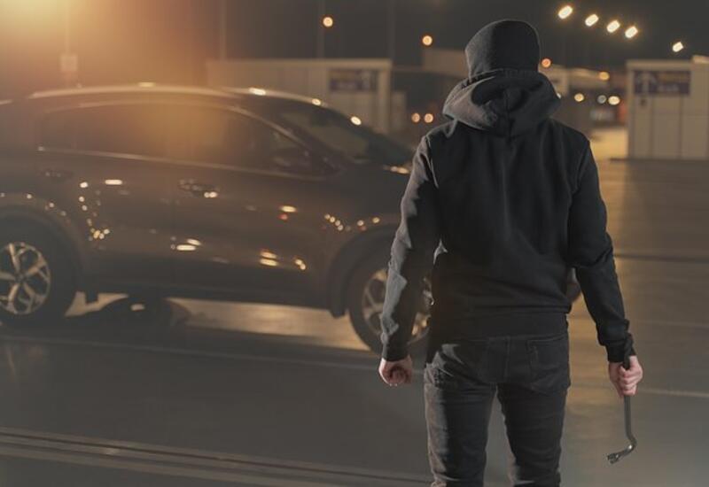 Музей в Калифорнии лишился более 1000 экспонатов