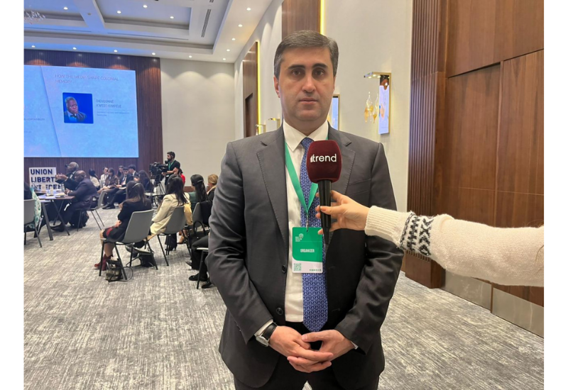 Аббас Аббасов о сотрудничестве БИГ по расследованию обращений из колониальных территорий