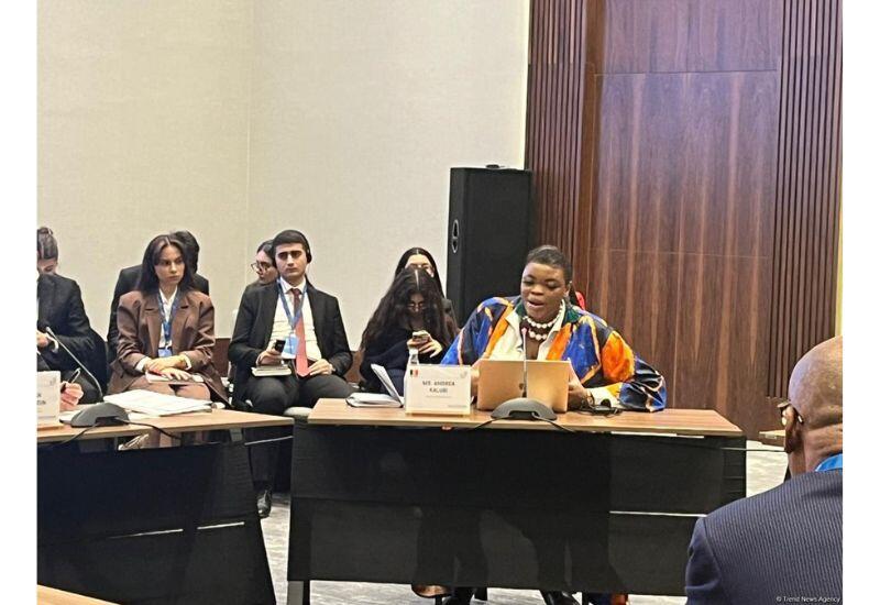 Прибыль Бельгии от добычи каучука в Конго стала социальным ударом для общества