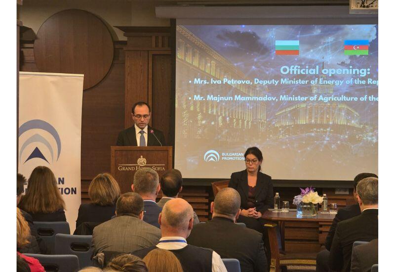 Меджнун Мамедов о сотрудничестве в "зеленой" энергетике