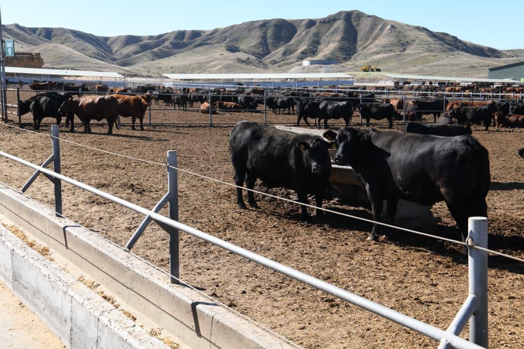 Azərbaycanda akkreditə olunmuş səfirliklərin, beynəlxalq təşkilatların rəhbər şəxsləri Həkəri dəmir yolu stansiyasına baxış keçiriblər