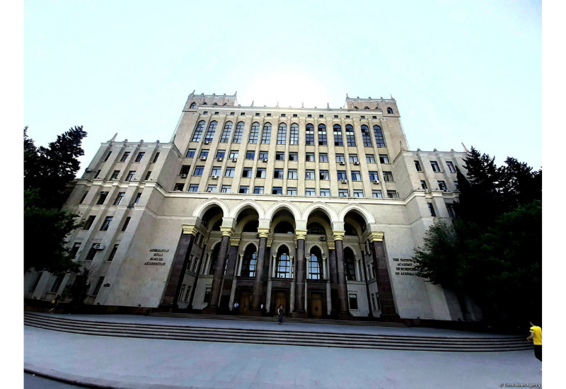 Назначен председатель Молодёжной академии НАНА