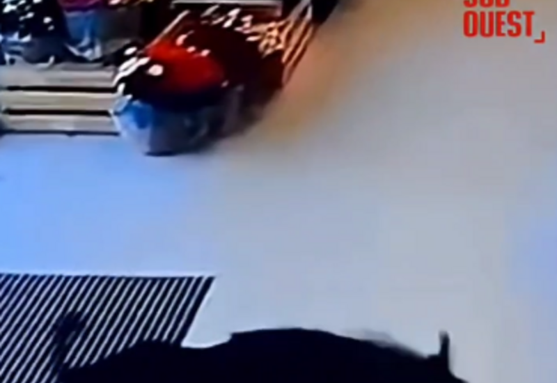 Во Франции кабан протаранил двери супермаркета