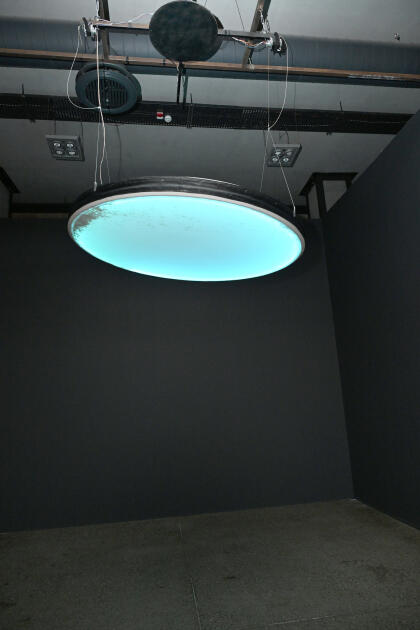 В Музее каменной летописи открылись выставки в рамках фестиваля Art Weekend